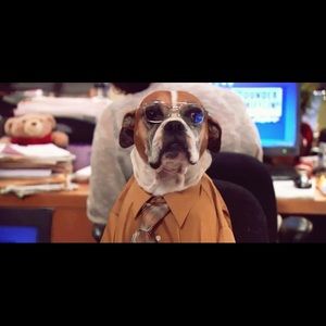 Meet your Posher, Mel